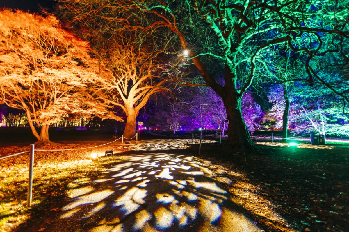 Northern Lights In Leazes Park